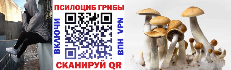 ОМГ ОМГ ССЫЛКА  Долинск  Галлюциногенные грибы прущие грибы 